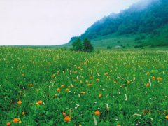門(mén)頭溝百花山乘車(chē)線路,百花山自駕車(chē)線路圖圖片
